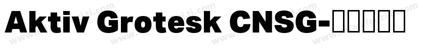 Aktiv Grotesk CNSG字体转换